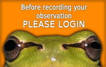 Please register before recording your observations